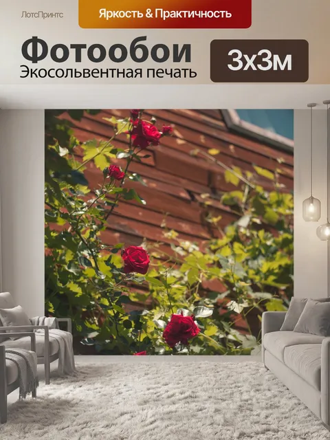 Фотообои Коттедж