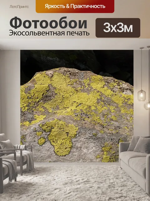 Фотообои Камень