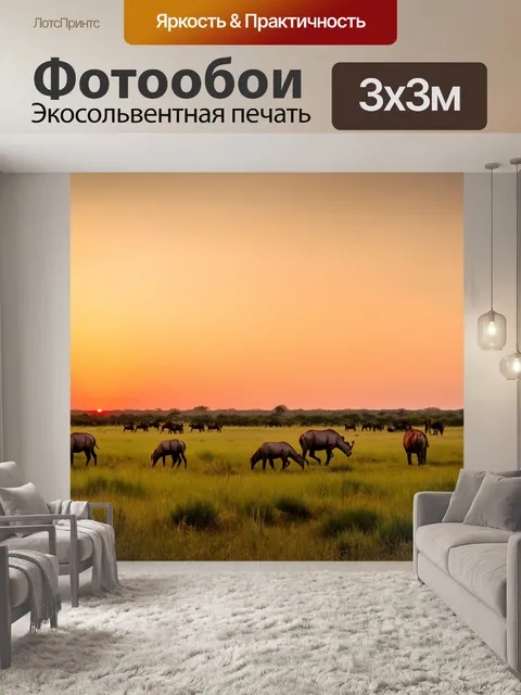 Фотообои закат в национальном парке