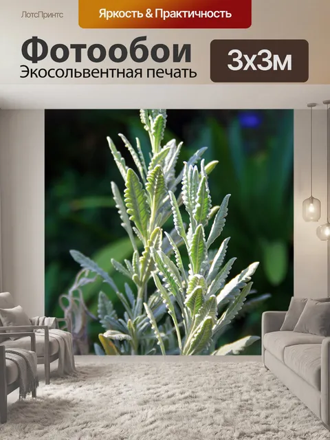 Фотообои лаванда лист веточки