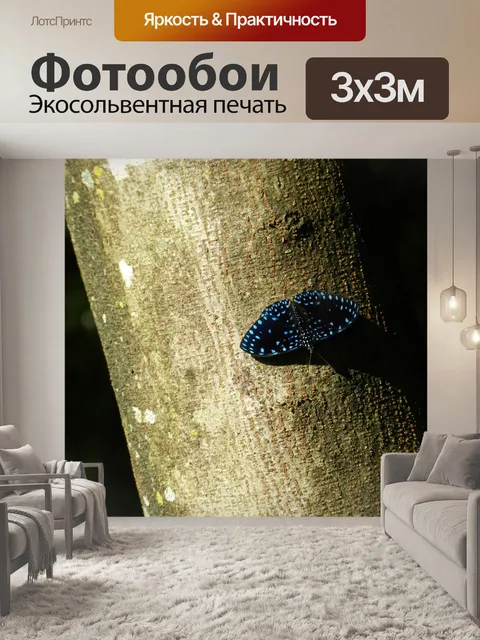 Фотообои Бабочка