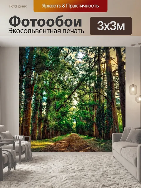 Фотообои Лес