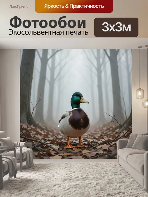 Фотообои Селезень в туманном лесу