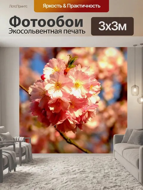 Фотообои Вишня в цвету