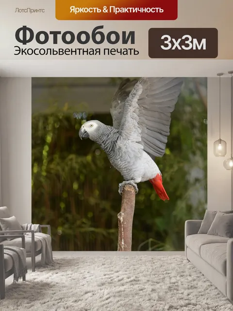 Фотообои Птицы