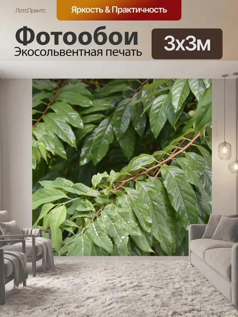 Фотообои Деревья