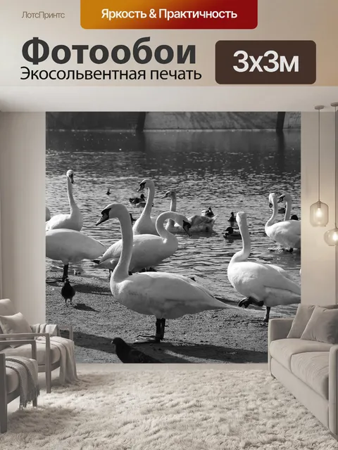 Фотообои Птица