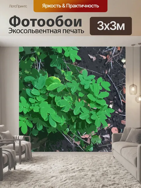 Фотообои срез новых листьев растений