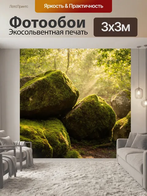 Фотообои камень, густой мох обвивает огромные валуны в светлом лесу