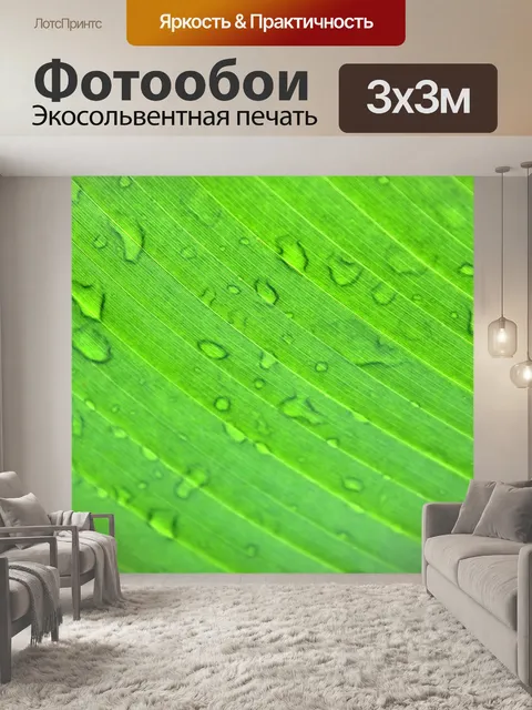 Фотообои Зеленый лист банан