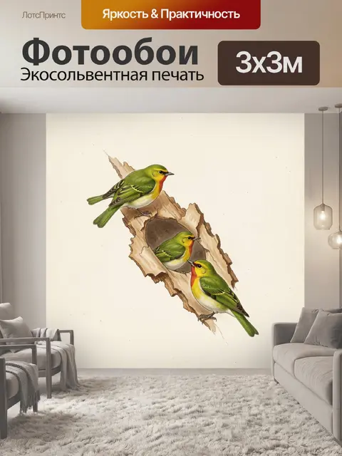 Фотообои Три птицы на коре