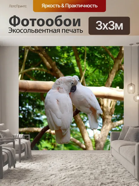 Фотообои Птицы