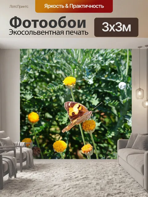 Фотообои бабочка на цветке