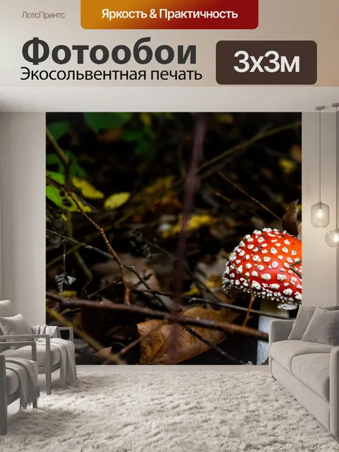 Фотообои Лес