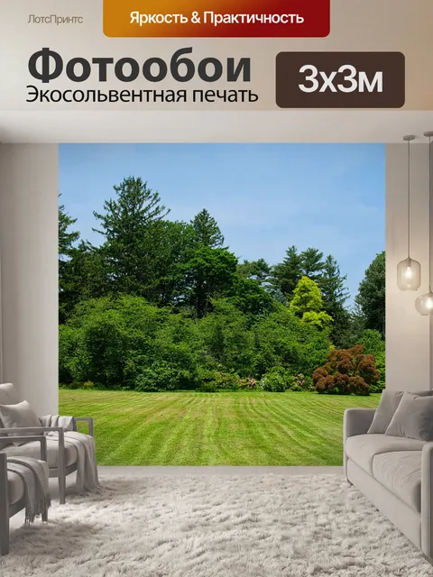 Фотообои Деревья