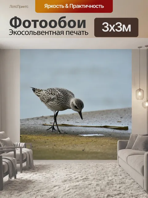 Фотообои Животное