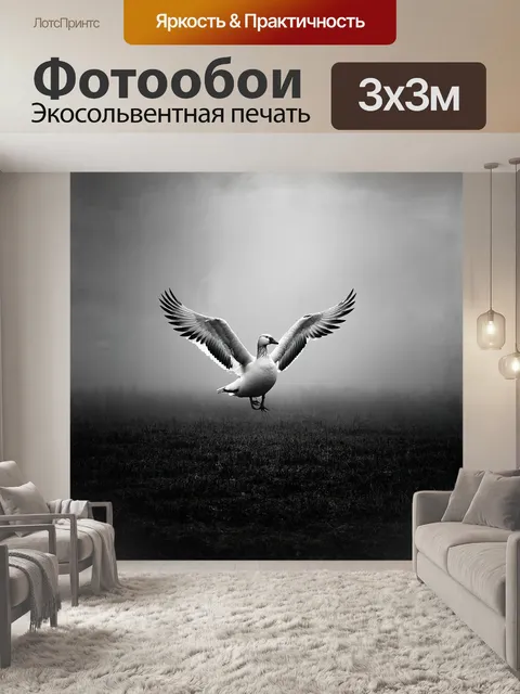 Фотообои в кадре изображён большой снежный гусь
