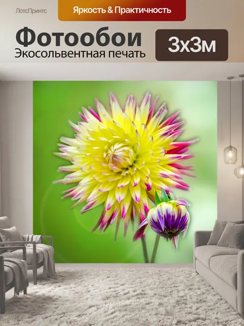 Фотообои Цветок