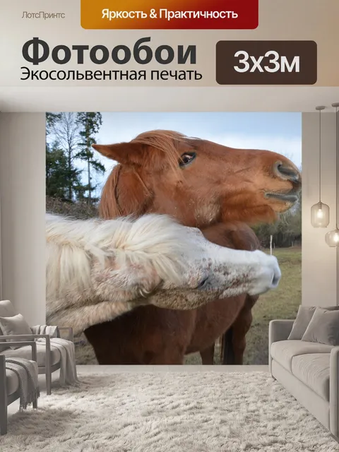 Фотообои Лошади играть