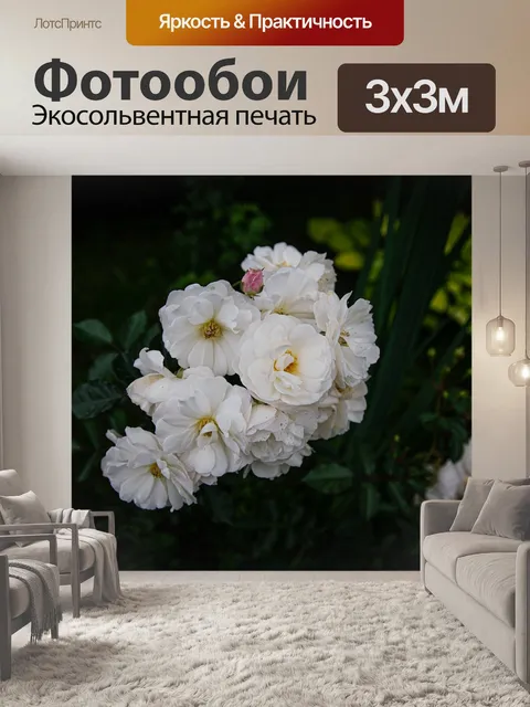 Фотообои Цветы