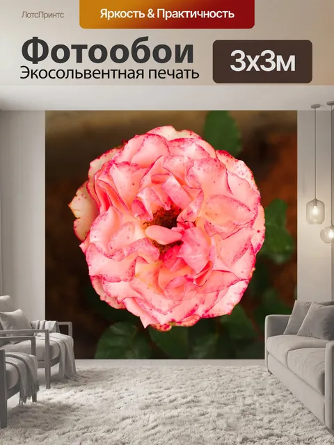 Фотообои Розы