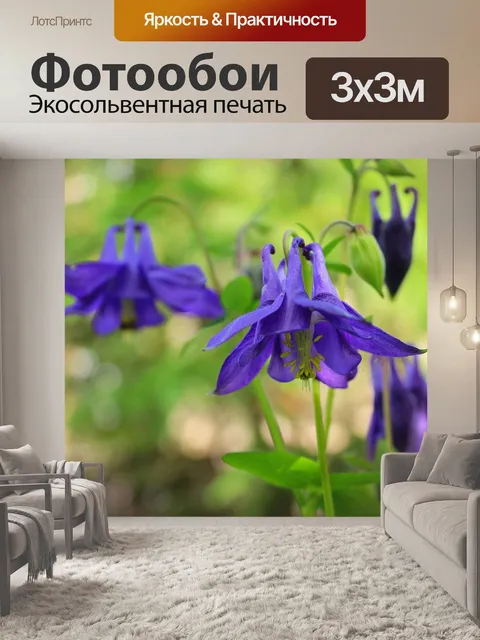 Фотообои Цветы