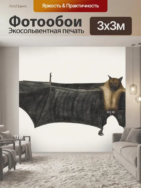 Фотообои Летучая мышь винтажное искусство старое