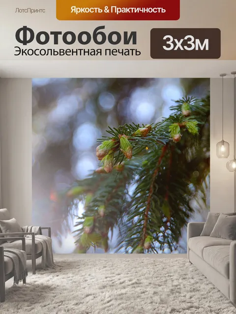 Фотообои Лес