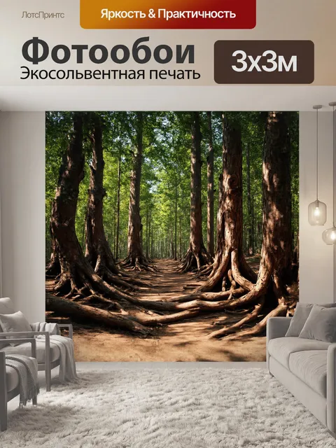 Фотообои в центре композиции — древний лес