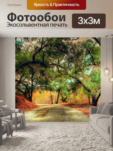 Фотообои Осенняя проселочная дорога