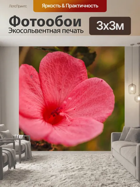 Фотообои фон маленький полевой цветок
