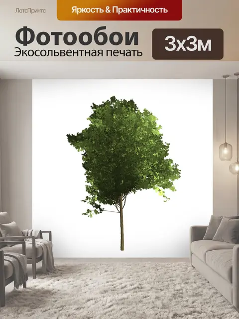 Фотообои Дерево