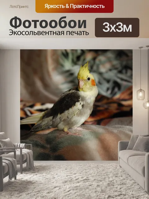 Фотообои Попугаи
