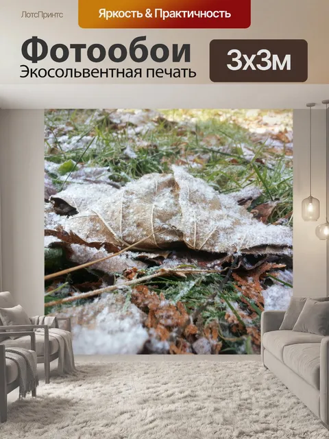 Фотообои Матовый лист