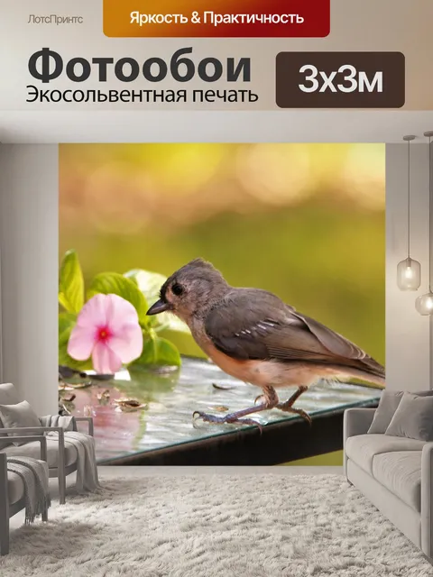Фотообои Молодая хохлатая синица на столе