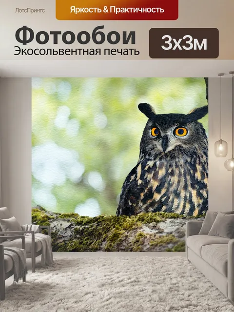 Фотообои Сова в Дереве Дерева