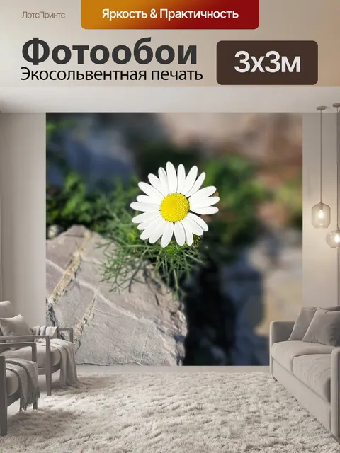 Фотообои Цветы