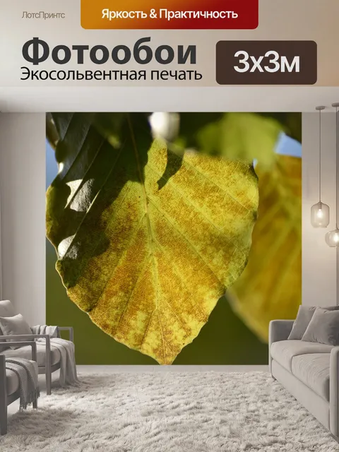 Фотообои Лист