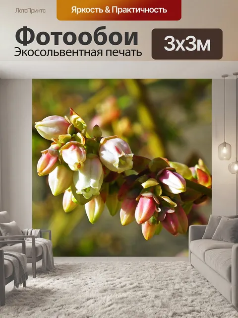 Фотообои Цветы