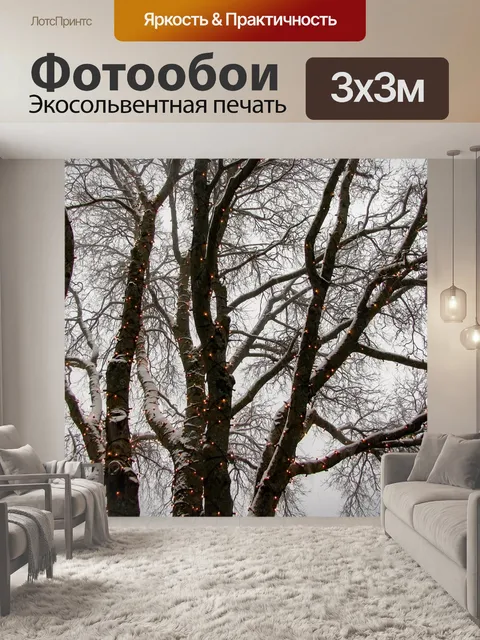 Фотообои Деревья освещенные