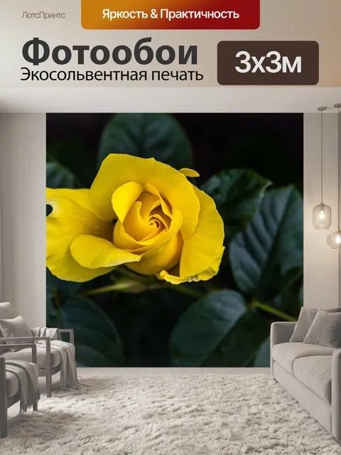 Фотообои Желтая роза