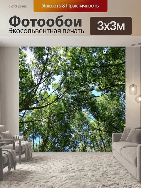 Фотообои Деревья
