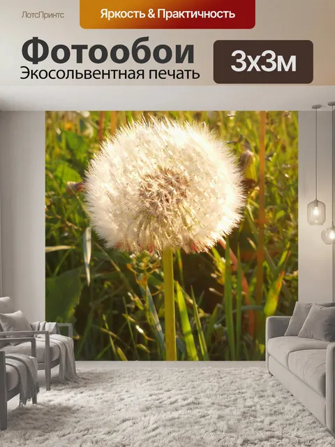 Фотообои Одуванчик