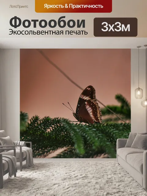 Фотообои Бабочка
