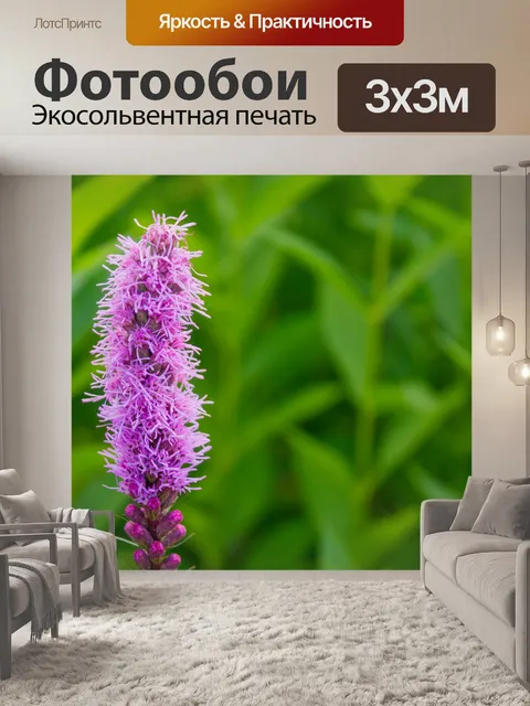 Фотообои Пылающие звездные цветы