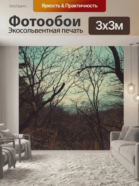 Фотообои Китай