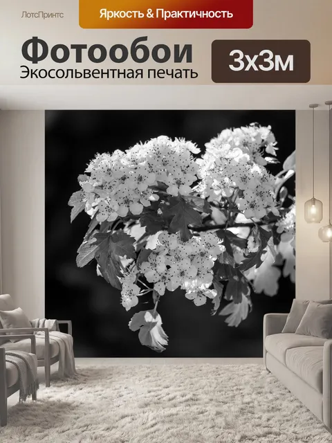 Фотообои Расцветает