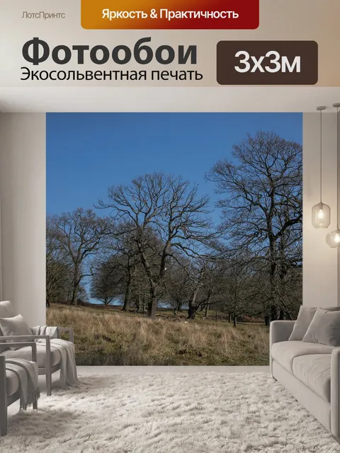 Фотообои Дерево