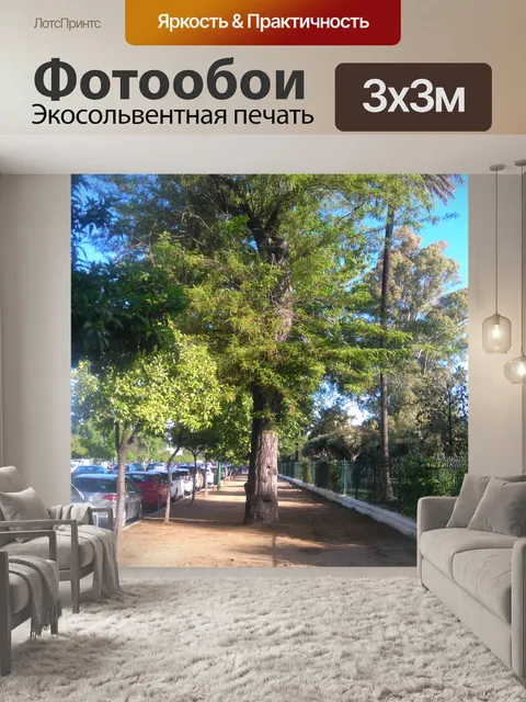 Фотообои Растения и деревья 10