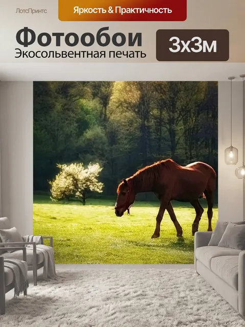 Фотообои Лошадь